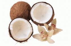 Beurre de noix de coco