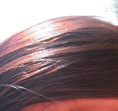 Coloration auburn a brun cuivre